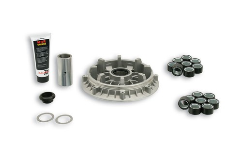 5113513 variatore malossi mhr - malossi,