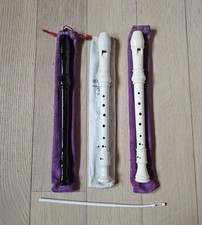 Lotto flauto dolce scuola