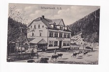 D166) Foresta Nera H.G. - Turingia - ALLA CASA TEDESCA - Animali bicicletta V...