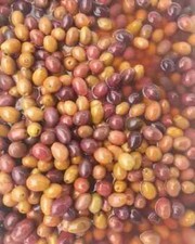 500 GR | OLIVE DI GAETA -
