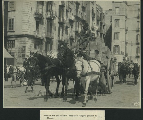Due ruota cavallo - due,