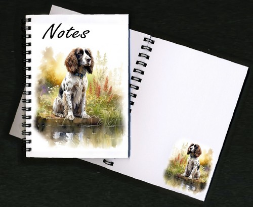 English springer spaniel - springer,