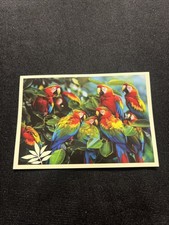 Noi Animali L’unione Fa La