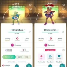 Shiny Dynamax Hitmonchan -