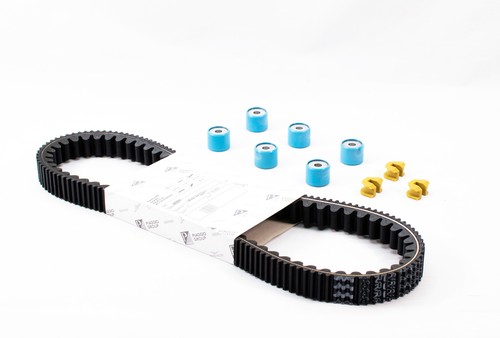 Kit revisione cinghia vespa - cinghia,