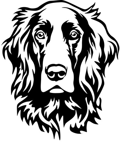 Adesivo irish setter - irish,