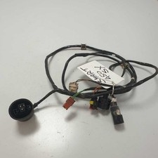 0009939V001000000 Cablaggio