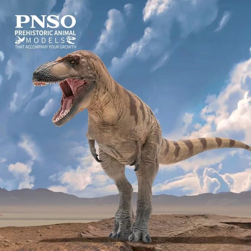 Pnso 2023 colethe - pnso, il