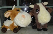 AMICI DELLA FATTORIA CAPRA +