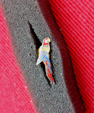 Pins spilla vintage - , pappagallo