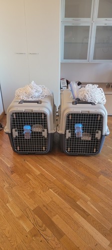 Kennel cane iata - kennel,
