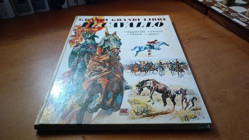 Grandi libri cavallo - grandi,