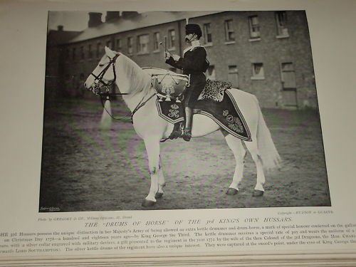 1896 tamburi dei cavalli - 1896, i