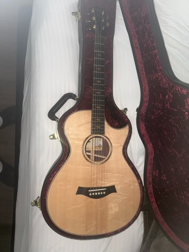 Taylor 2025 catch custom - custom, #14