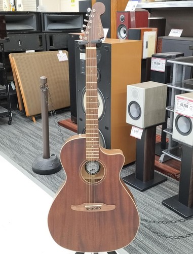 Chitarra elettrica acustica