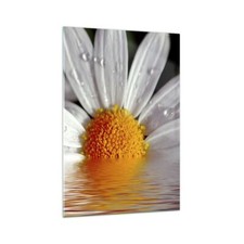 Quadro su Vetro 70x100cm Erbe