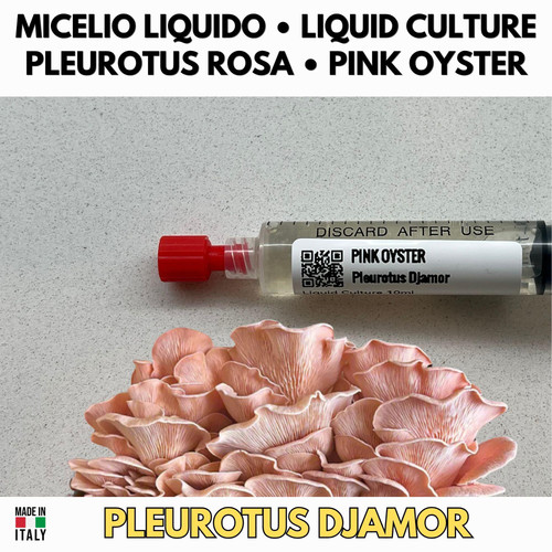 Kit funghi rosa - kit,