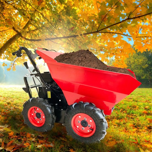 Dumper brast benzina - brast,