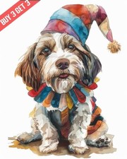 Petit Basset Griffon Venden in