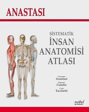 Anastasi sistematik nsan - anastasi, İnsan