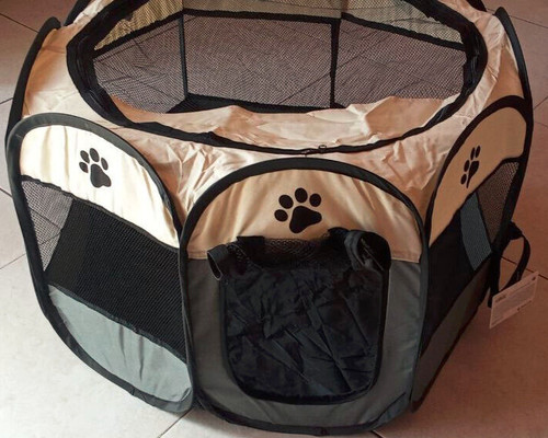 Box gatti cani taglia - gatti,