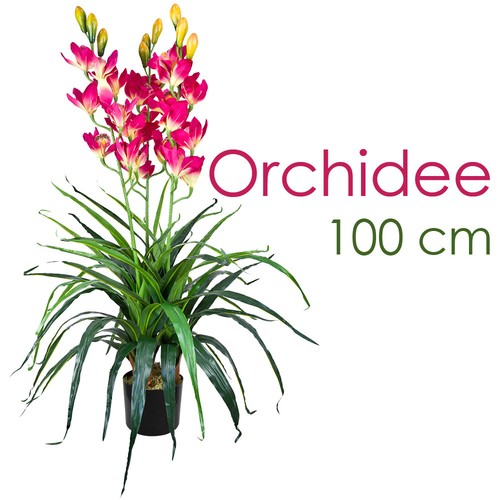 Orchidea artificiale pianta