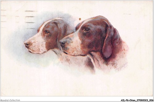 Ailp6 0514 cane teste di - teste,