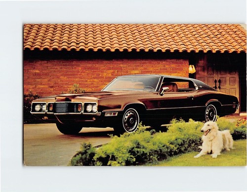 Cartolina 1970 thunderbird - cartolina,