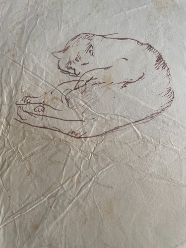 Mario mafai gatti - frammento, a