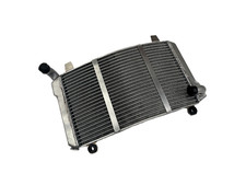 ✅Radiatore in lega per