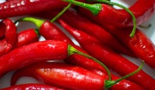SEMI SEMENTI PEPERONE PICCANTE DI  CAYENNA ortaggi verdure peperoncino aromatich