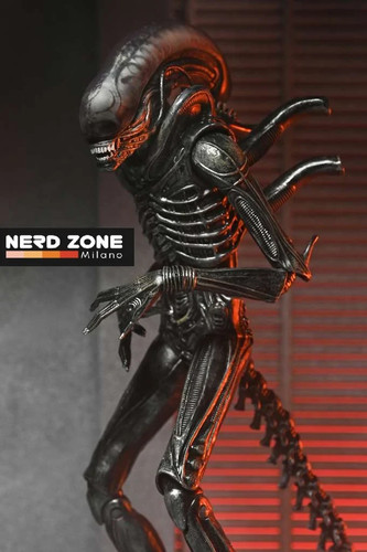 Stock neca alien romulus - stock,