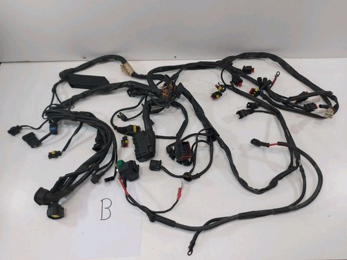 Cablaggio wiring harness - wiring,