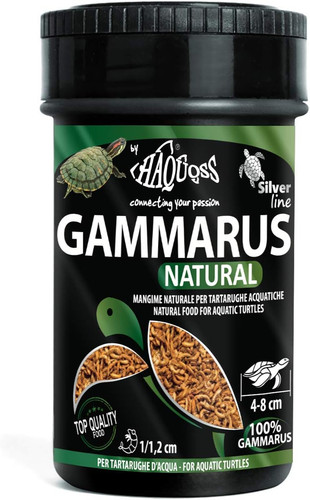 Gammarus mangime naturale - gammarus,