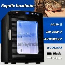 Incubatrice automatica rettili