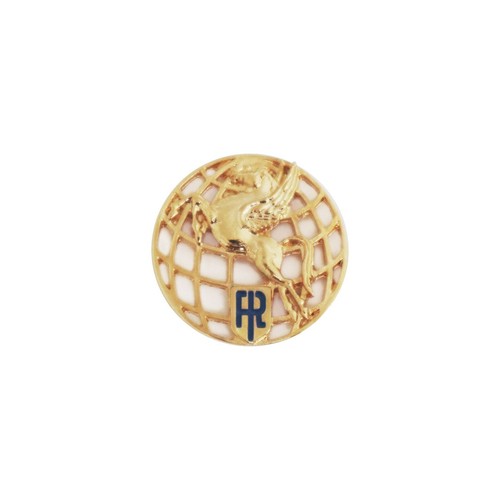 Distintivo aeronautica - ,