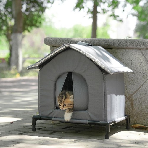 Cuccia per gatti come - cuccia,