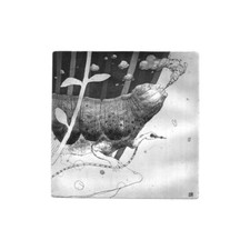 Giovanni Robustelli Il