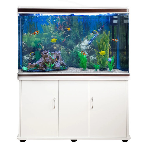 Acquario 300l con - acquario,