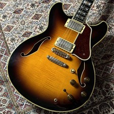 Ibanez AS200 1994 4,01 kg