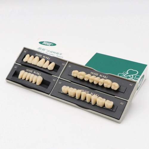 Enorme denti dentale - dentale, sintetico