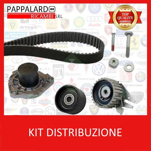 Kit cinghia distribuzione - cinghia,
