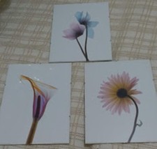 3 quadri floreali con cornice