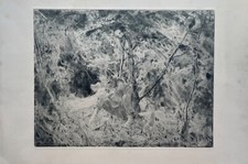 Incisione Uomo Con Testa Di