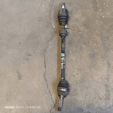 96298502 Semialbero ant