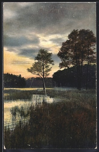 Cartolina artista - cartolina, d'artista
