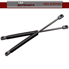 Front Hood Gas Charged Lift