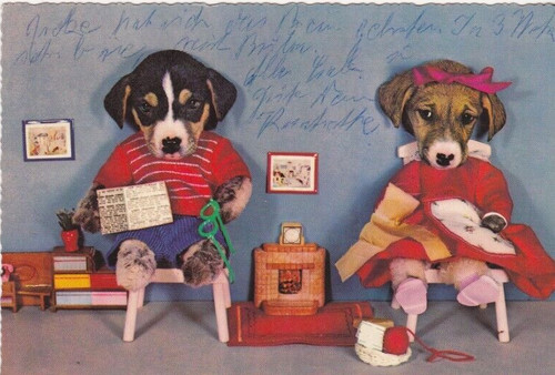 Fox terrier cartolina 35 - *,