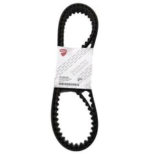 Coppia cinghie distribuzione