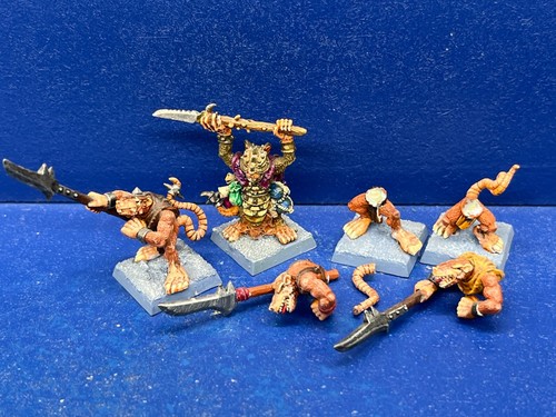 Raro capo chieftain 3 - capo, +